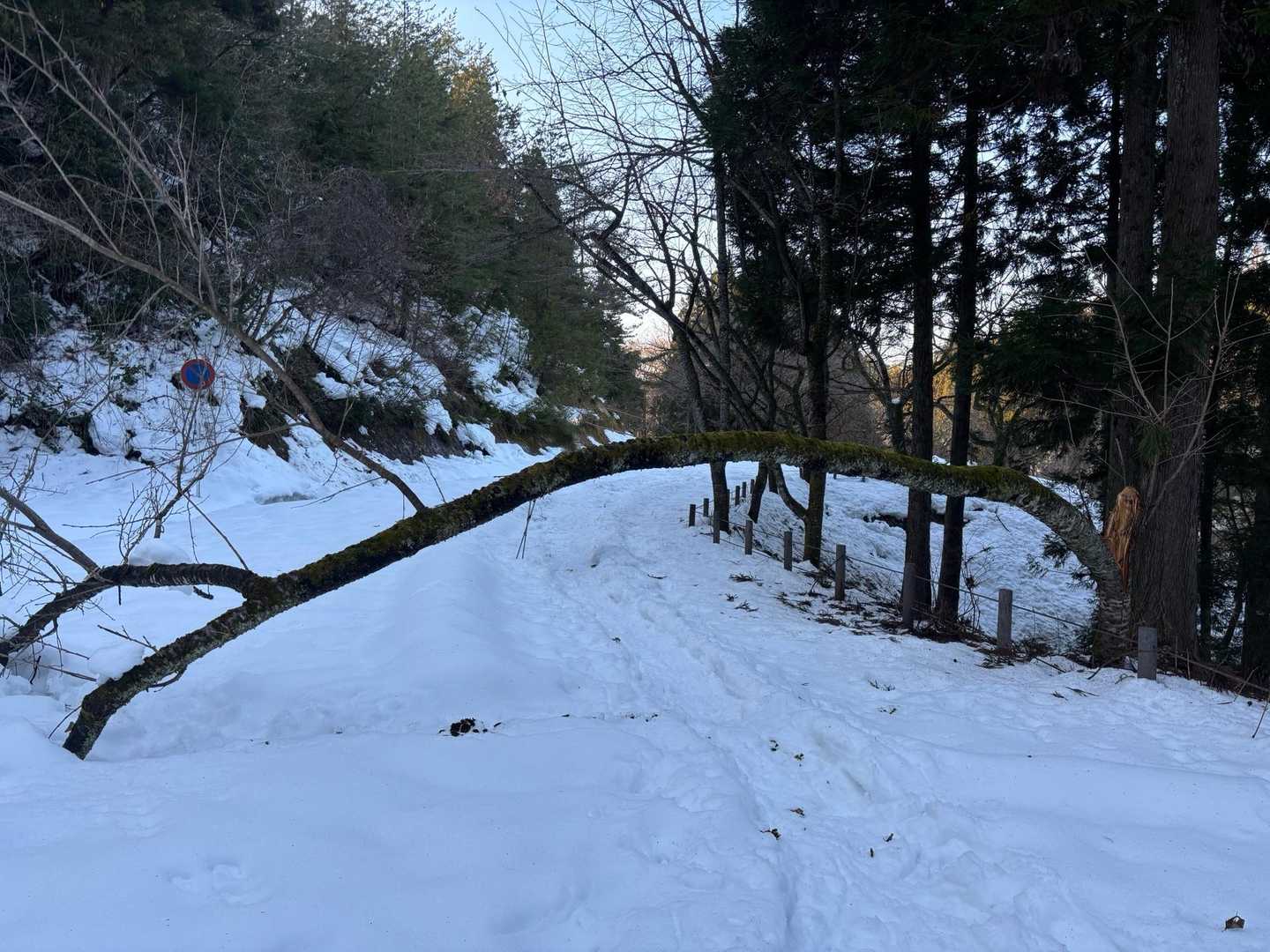 ホントは、山友ちゃんいるけど、消した🤭