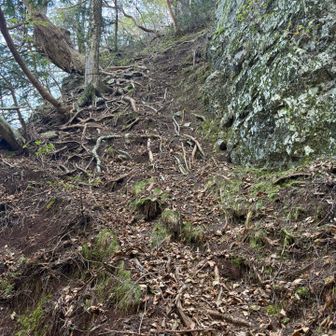 南峰への登りもなかなか。ここも下りたくないな。