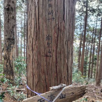 ﾀﾞｲﾚｸﾄ案内。