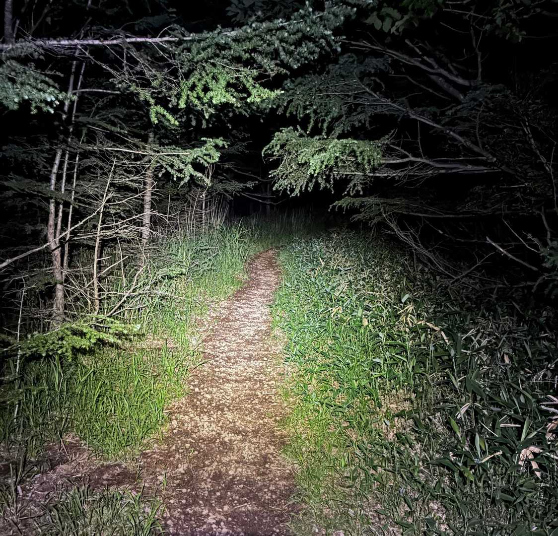 序盤はずっとこんな感じ⛰️

めっちゃ緩やかで迷う所も全然ない😊

夜でもいい感じだねー😊⛰️
