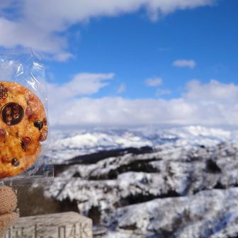 城山でMさんから頂いたお煎餅「ご馳走様です」