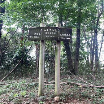 一つ目のピーク