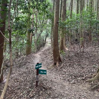 分岐は左へ行ってさらにこの分岐を右に行くのが正解
