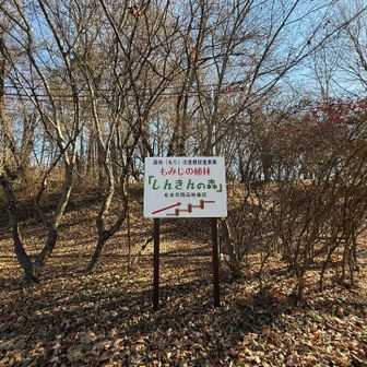 たくさんいた大人と子どもが神隠しのように消えた
どこに行ったの？