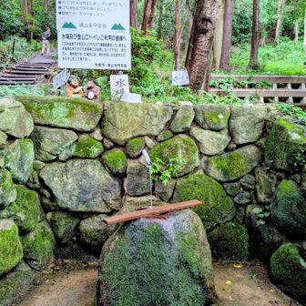 登山口横の水場