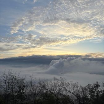 見えなさそう。