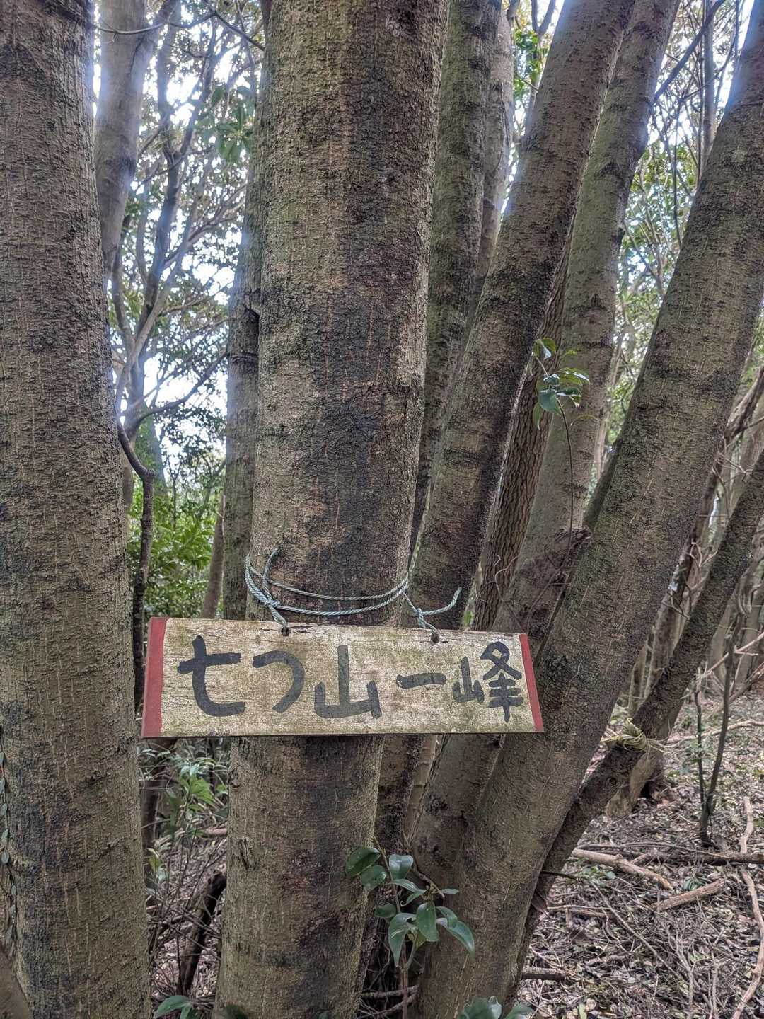 まだまだ登ってない田原の山々を登りに❗って言っても低山ですが😅