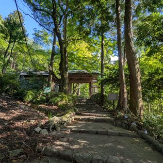 瑞宝寺公園
紅葉の時期に来たい！