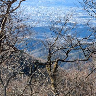 琵琶湖と町並み