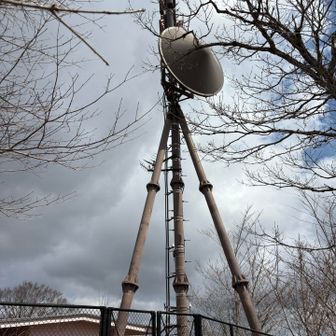 テレビの電波塔みたい📡
