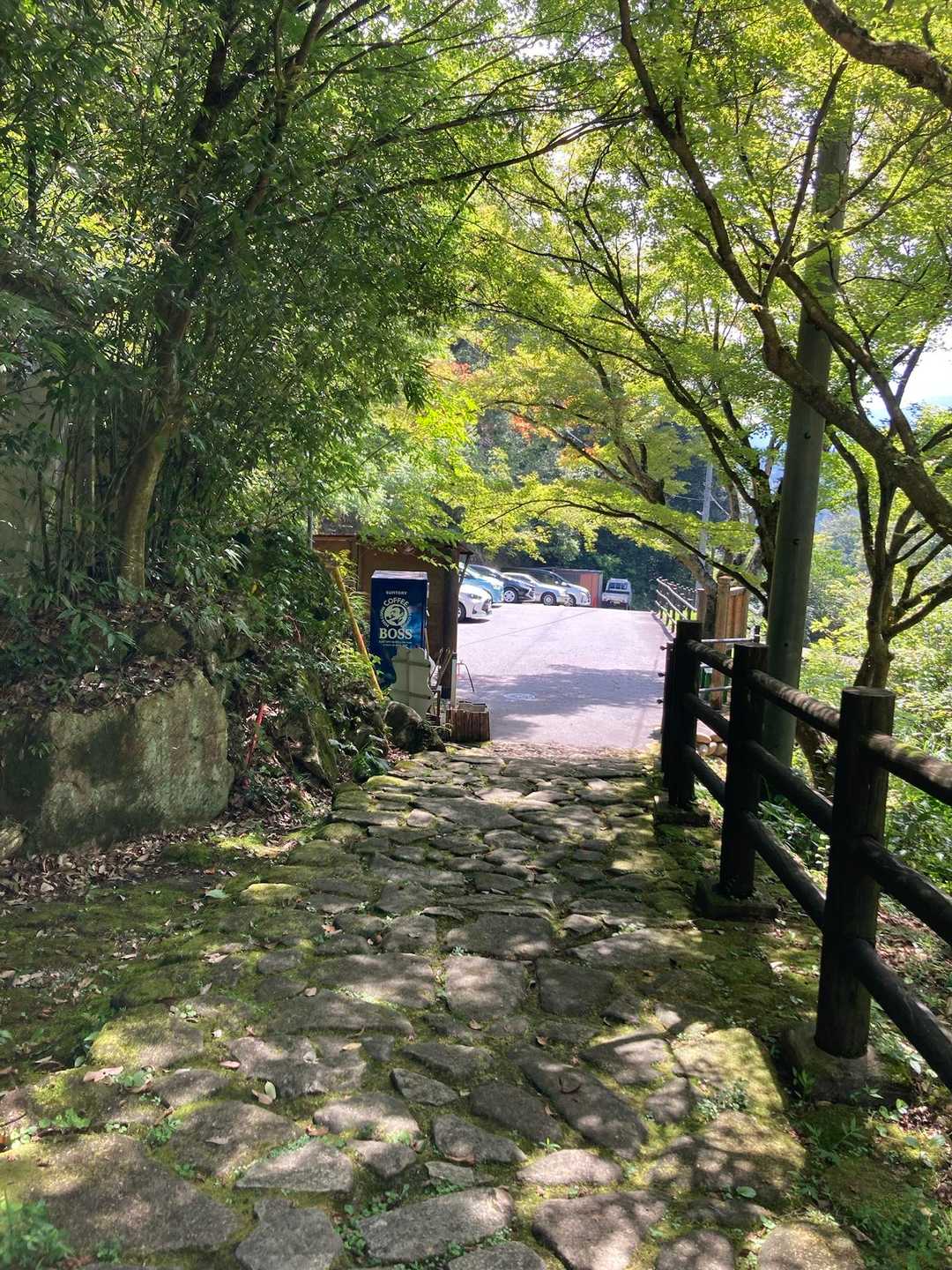 駐車場に到着🅿️車が増えていました👍