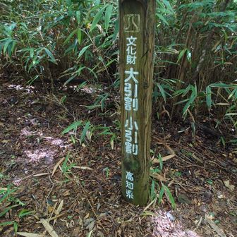 大引割
秋葉神社の方から車で来ると数分歩くだけで来れるらしい
軽装のご夫婦に聞いてびっくり😮