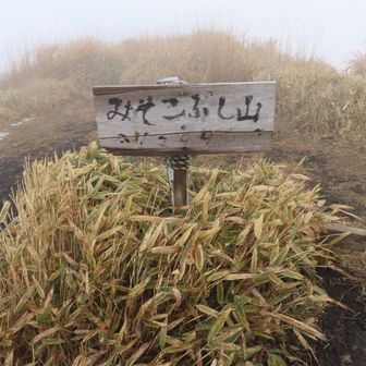 みそこぶし山到着！
何も見えません👍👍👍

みそこぶしって響きいいね