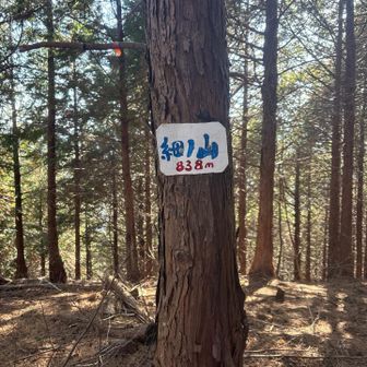 本日最後のピーク細ノ山
あとは梁川駅に向けてひたすら下ります