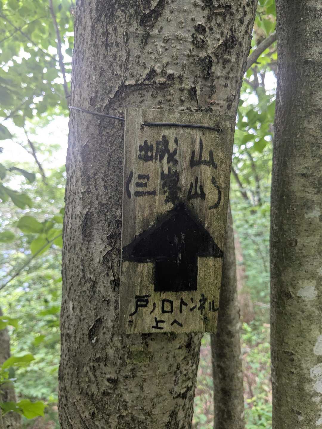 次のピークは三峰城山ですよ〜
って書いてありますが、結構遠いです😅
でもすこぶる面白いですよ✌️
行きたいでしょ😉
でも、今日は違う山城に行きましょう🚶
（なにー！）