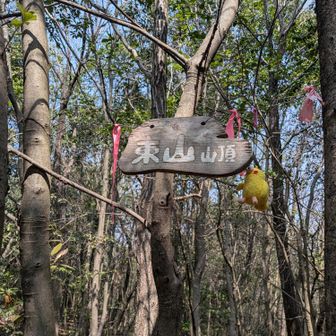 ③ピークハントの東山に登頂です🙌