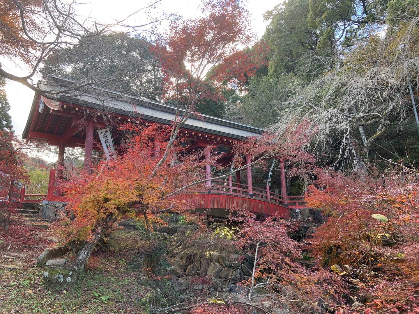 清明橋と紅葉
少し散ってるけどここの紅葉はまだ残っていて綺麗でした(*≧∀≦*)
橋と紅葉の赤のコントラストがすごくいいなぁ(*´◒`*)