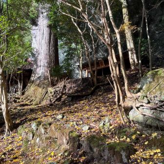 ヒィーヒィー🥵となり
一服🚬するも　時間⏳押してるので
