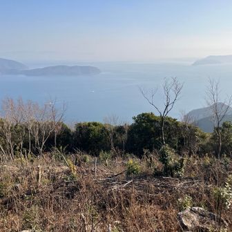 伊予灘の景色
霞んでなければ絶景（泣）