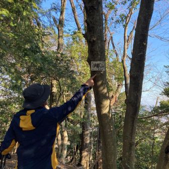 伊勢山到着！眺望なし😭おしまい