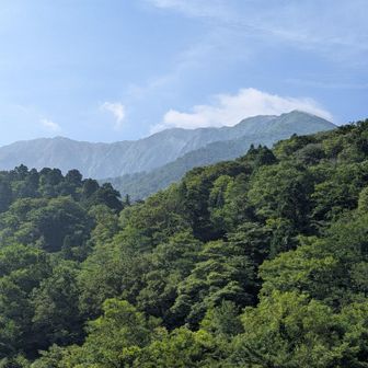 駐車場近くの橋の上からの景色🤗
