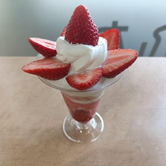 途中休憩のフルーツパークで誘惑に負けてポチッ🍓

めちゃ美味しかったー☺
都内なら2000円でも行列できそうですが、ここでは800円＆待ちなし☺

これ私の中では、現在ヘビロテ中のグンマー、トチギー、チチブの中で優勝です👍️
まさかこんな素敵な出会いがあるとは…🍓

この3箇所が今のお気に入りですが1ヶ月間は行く事が出来ないのです😭
次回は1ヶ月後にグンマー予定

いわふねフルーツパーク https://share.google/9rjmot4ydZuJSLqaa
