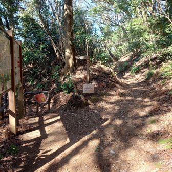 右（直進）へ進みます。