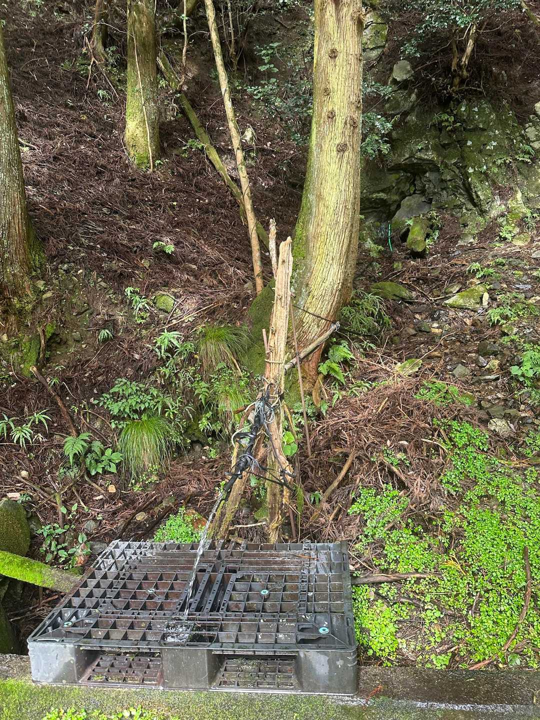 今日は1日色んな汗が出てたんで、
最後に鈴鹿の湧水でさっぱり。
