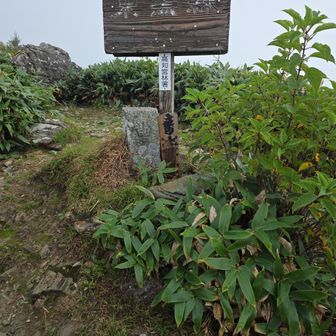 東黒森ゲット