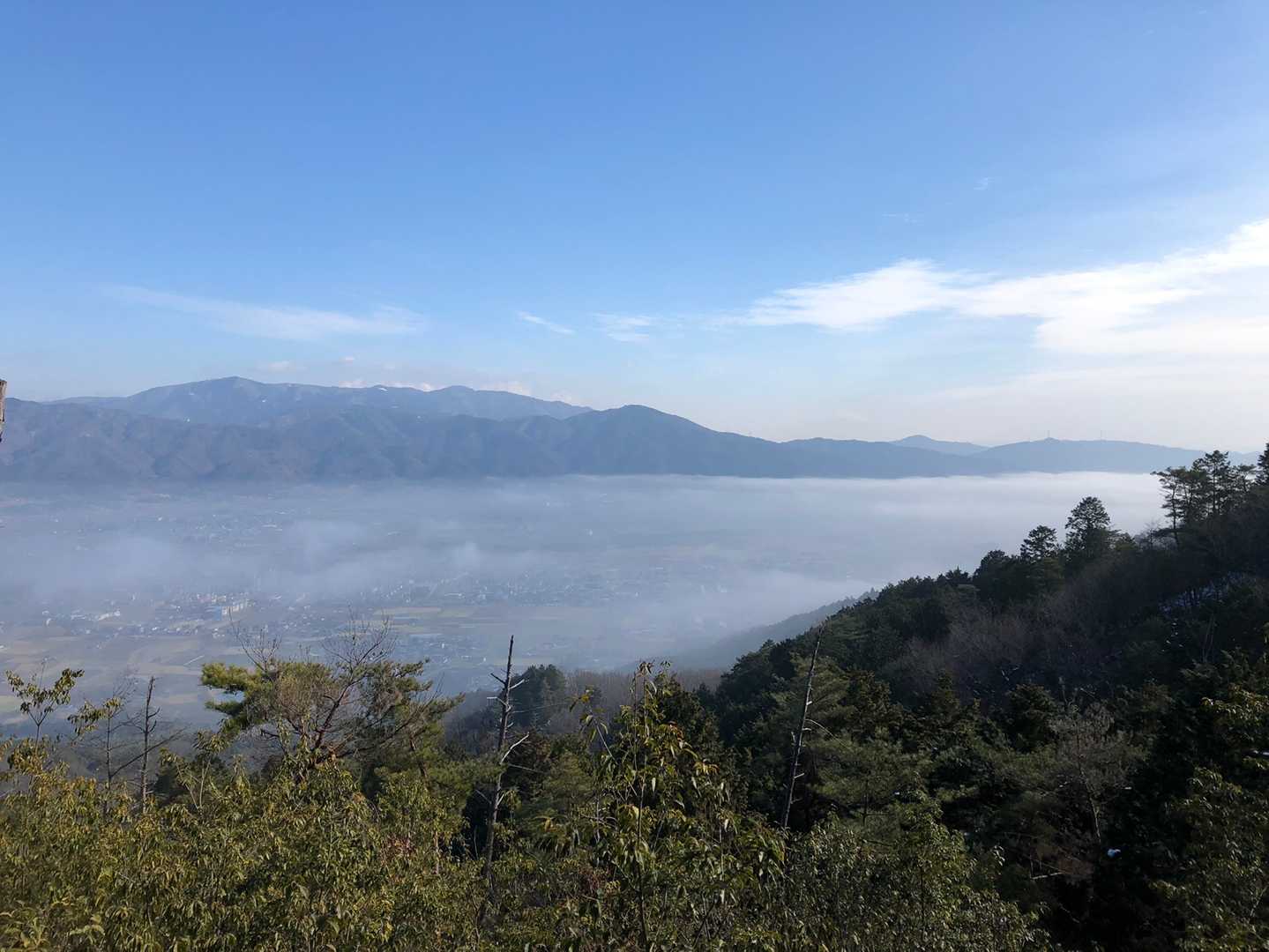堂徳山 往復コースの写真