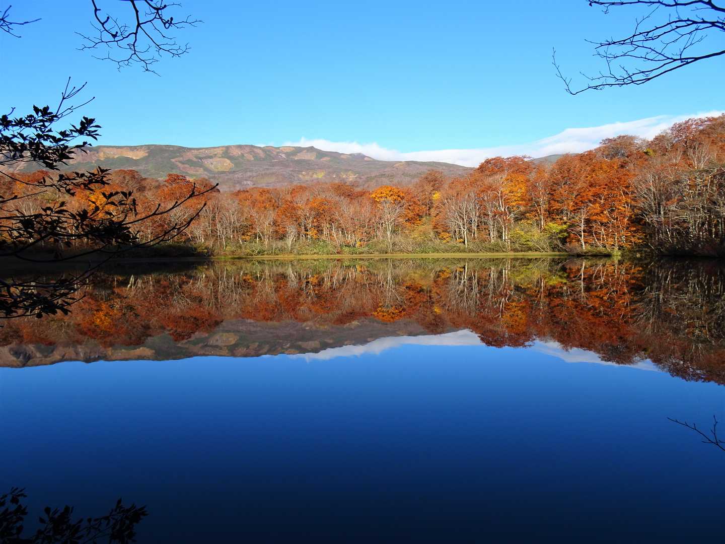 中沼登山口-焼石岳 往復コース
の写真