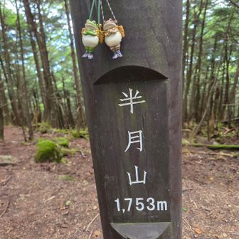 標高1,753m‼️当たり前やけども、そんなに登った気がしない😆