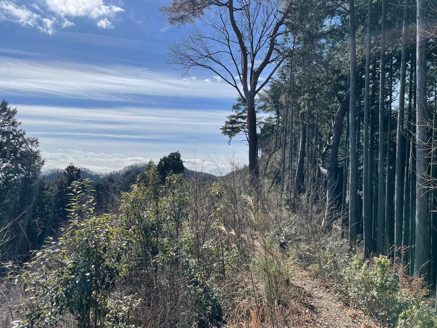 臼杵山-荷田子峠-荷田子バス停 縦走コースの写真