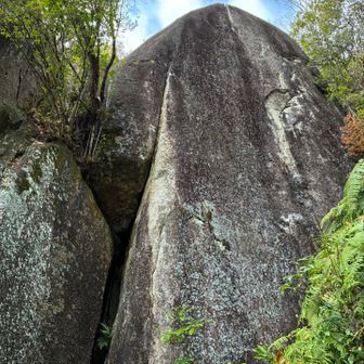 こんなボルダリング岩が点在するのも特徴。自分は全然登れない岩ばかり。