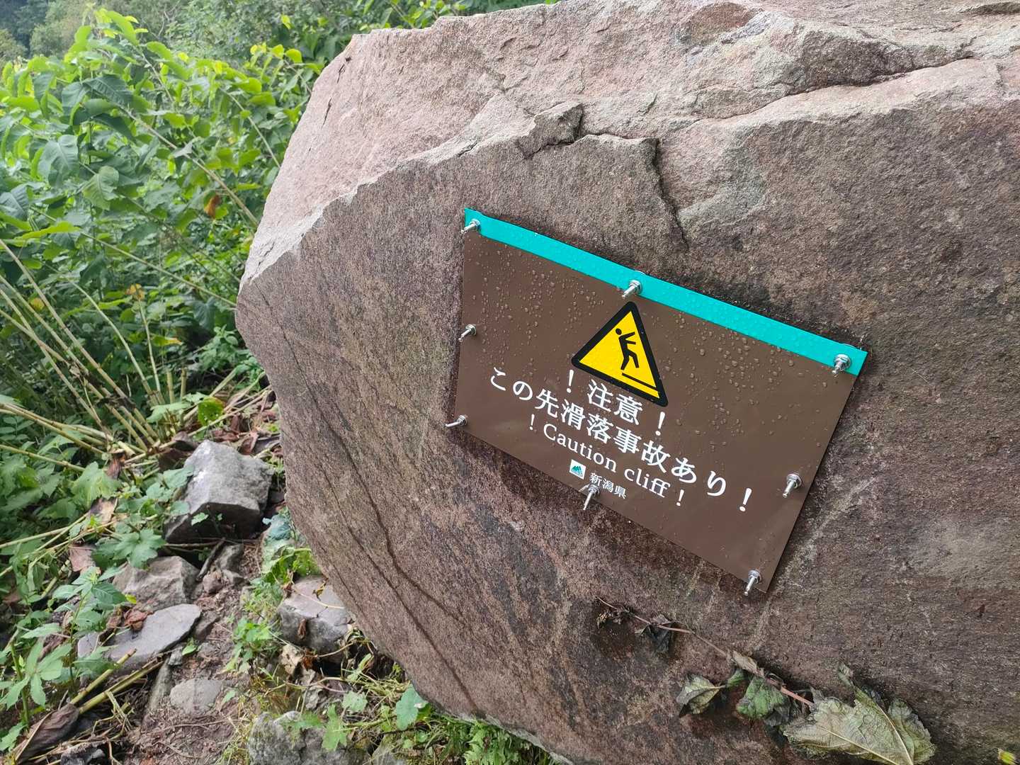 　😰ドキドキ💓
　山道めっちゃ狭い💦
　笹の根っこが飛び出て⚠️危険