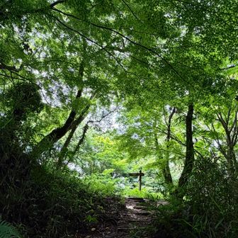 いつ来ても綺麗だし、いつ来ても人が居ない取っておき