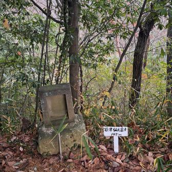 谷津仙元富士⛰️
多摩湖周りのサイクリングロードを歩いて行くと現れました
ちょっと荒れた道を少し登ると頂上