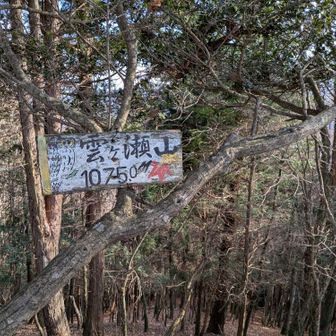 雲ヶ瀬山⛰️到着✌
眺望ありません
この先はハッピのタワに繋がってます😊が
直ぐ引き返します💪