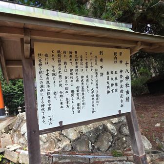 歴史ある神社。
手水はご神水