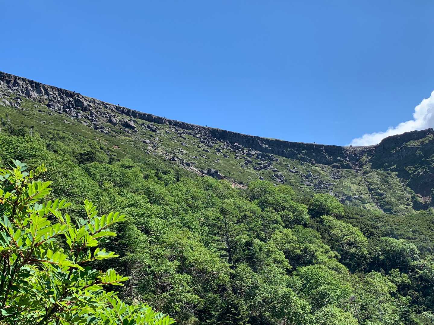 夏らしい景色に心躍る✨🎶