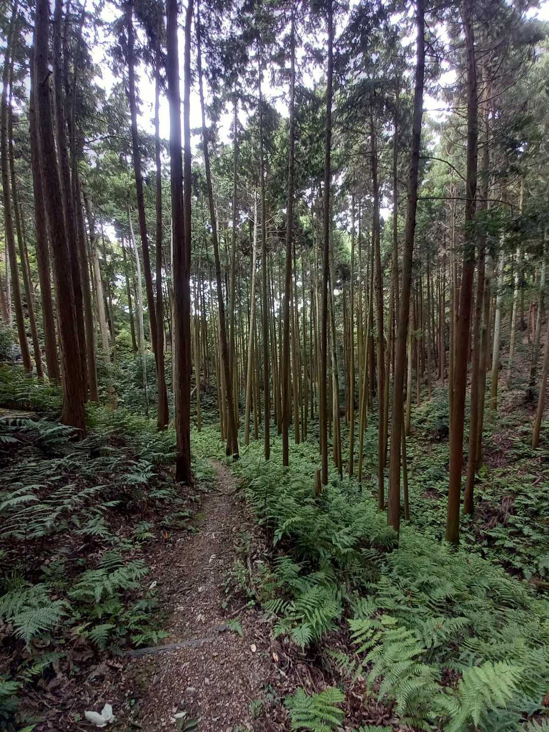 する事をしたHummer😎は、安心して下山したのだ✌️