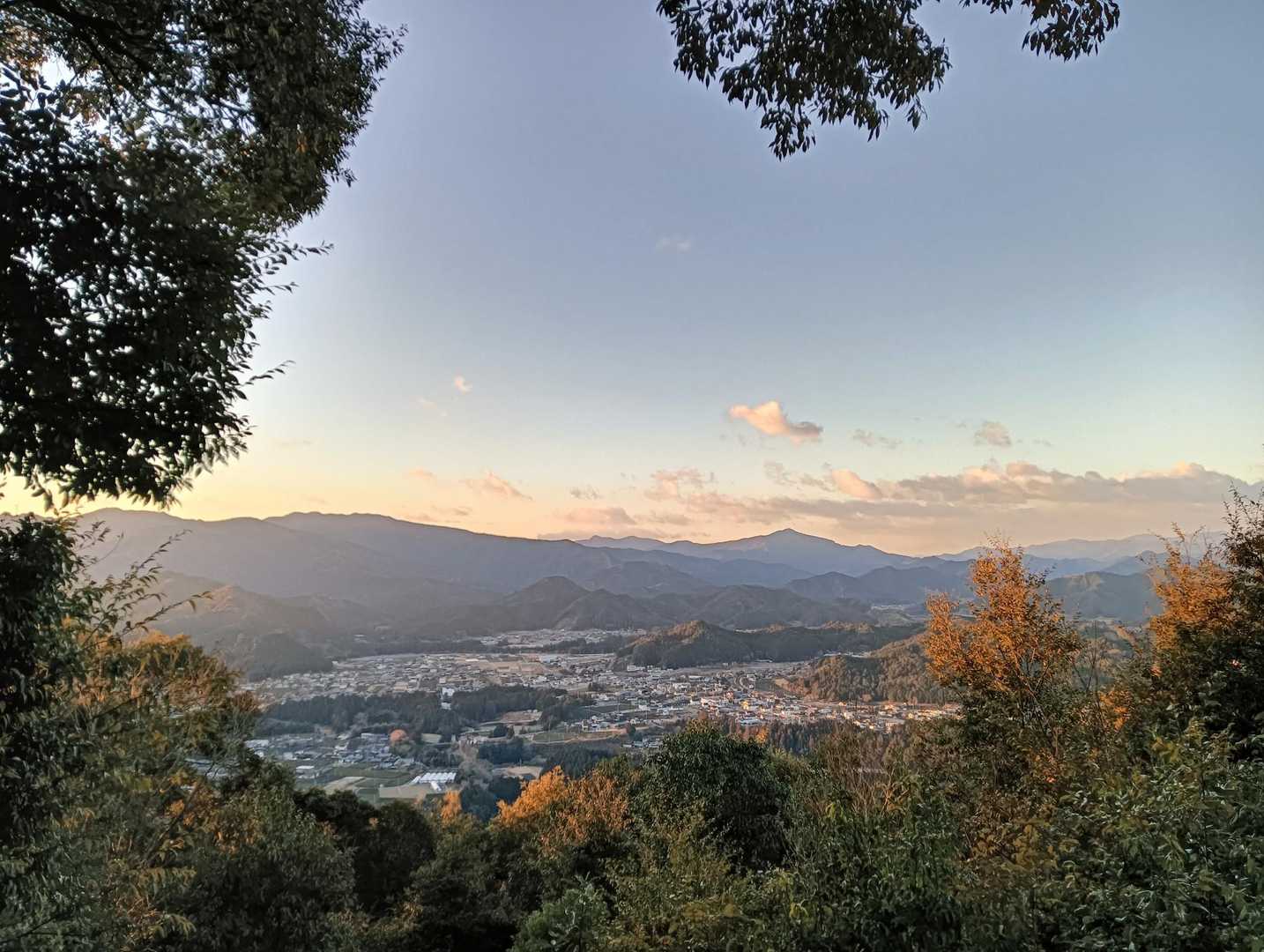 コン田山 往復コースの写真