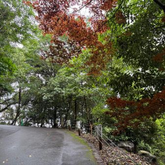 舗装路を歩く