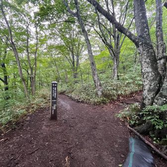 登りは新道からいくことに