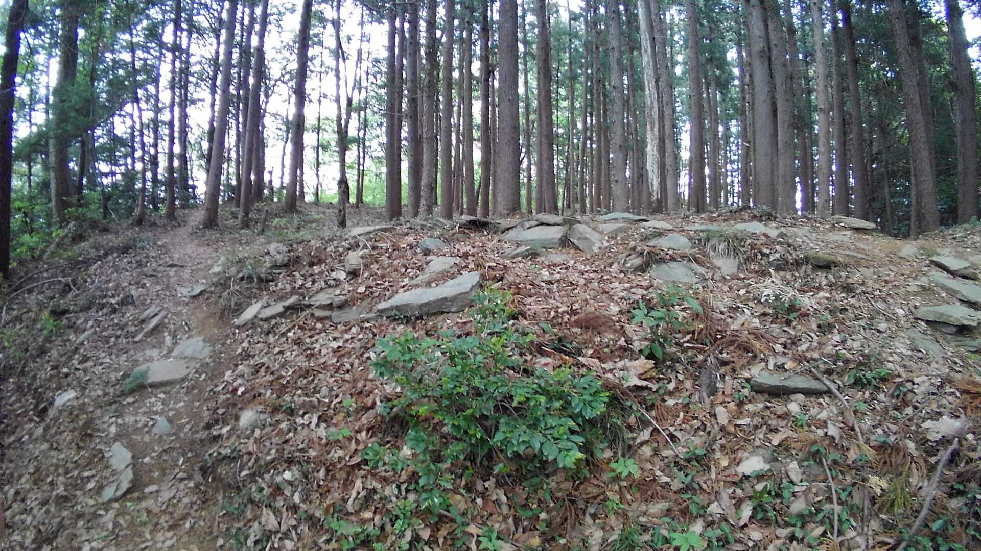 城山の写真