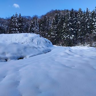 ノントレースです