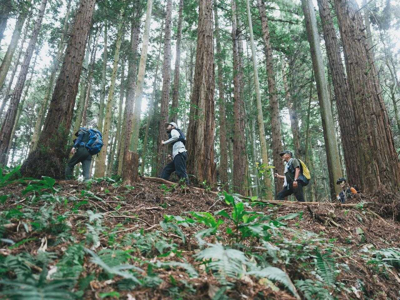 六ヶ岳 6峰＋3座周回コース | 山頂は360度の大パノラマ！9つのピークを縦走の写真