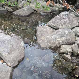 沢の水がどこも綺麗✨飲んでないですよ🤭