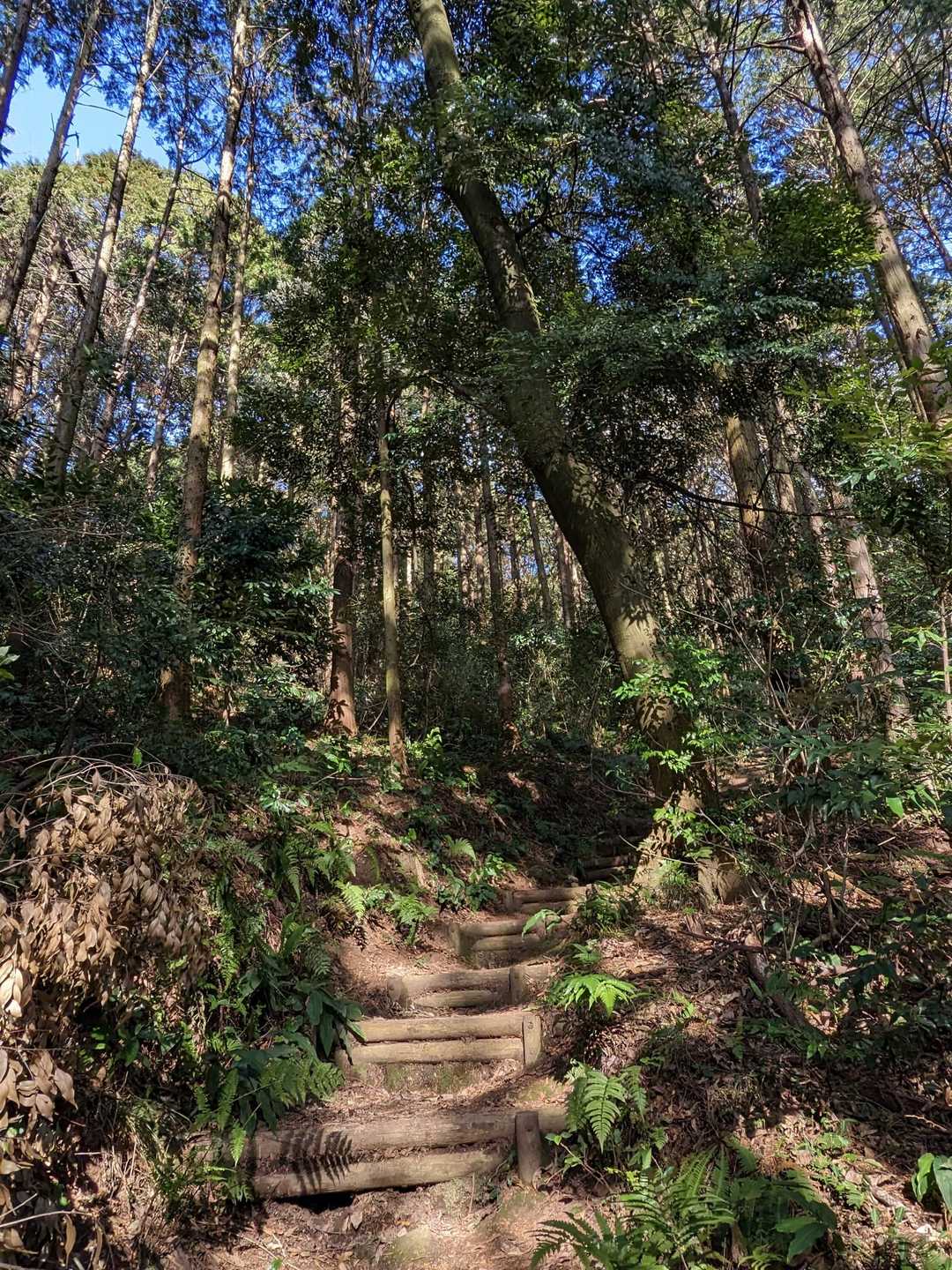 始めはこんな感じ✨