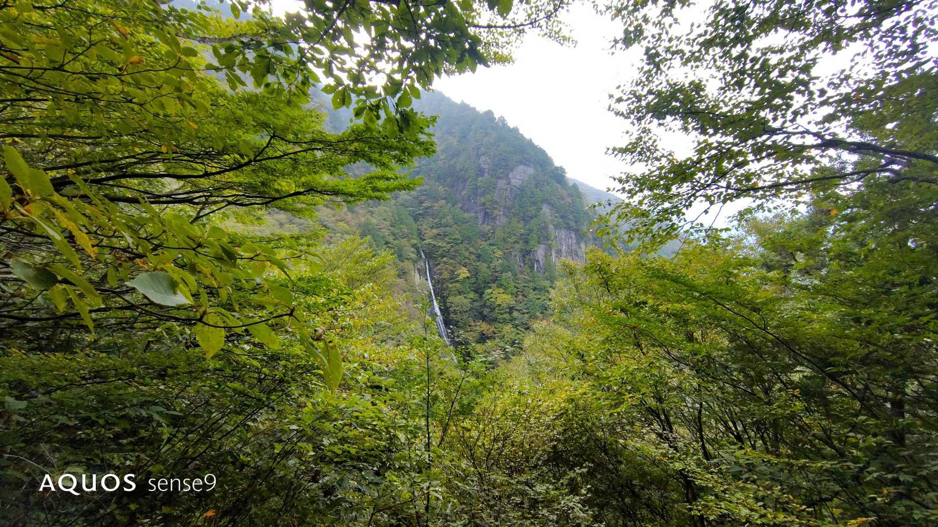 土居登山口-峨蔵越-二ッ岳 往復コースの写真